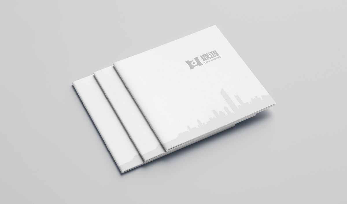 鼎鴻,深圳鼎鴻發(fā)展顧問(wèn)有限公司,鼎鴻畫(huà)冊(cè)策劃設(shè)計(jì)